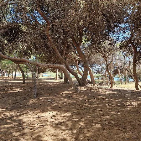 Gemini, Gallipoli-rivabella * Rivabella