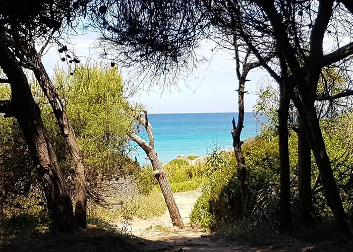 فيلة Gemini, Gallipoli-rivabella