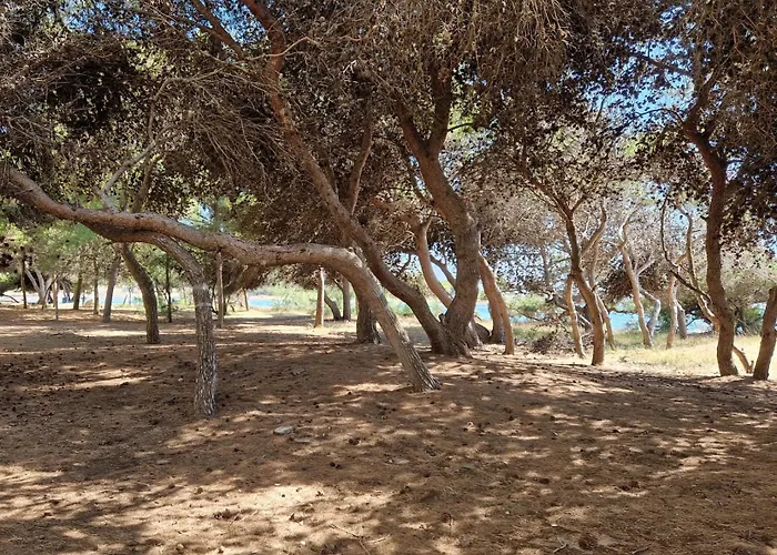 Gemini, Gallipoli-rivabella * Rivabella